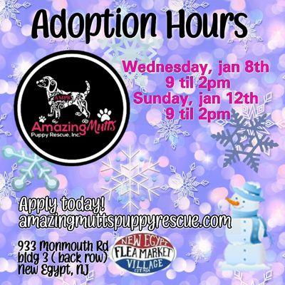 Adoption hours for the week of August 8th to the 12th