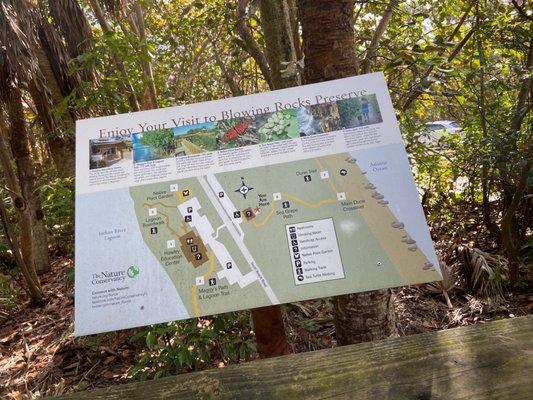 The Nature Conservancy