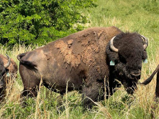 Ryan’s Outdoor Media