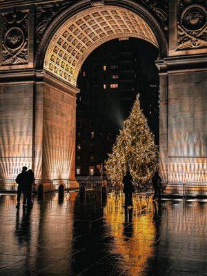 The Arch. Christmas tree view. December 2024