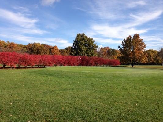Cardinal Golf Course