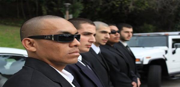 V Protection Services