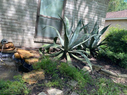 Randy’s Cleaning & Landscaping Services