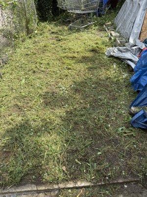 Escolero Tree Service & Landscaping