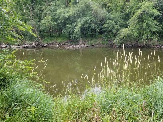 Salt Creek Greenway Trail