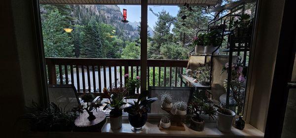 Bridal Veil Bed and Breakfast