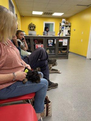 Gaffney Animal Hospital