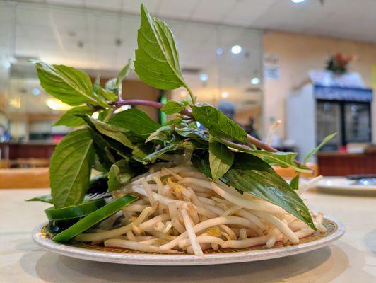 Pho Vie