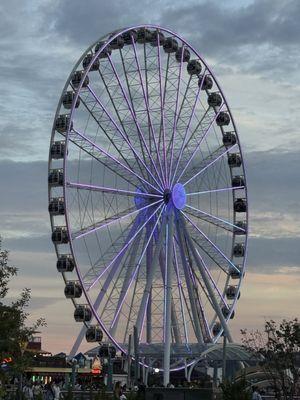 The Seattle Great Wheel
