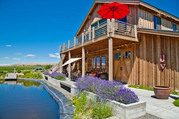 Beautiful day to enjoy some wine on the patio.