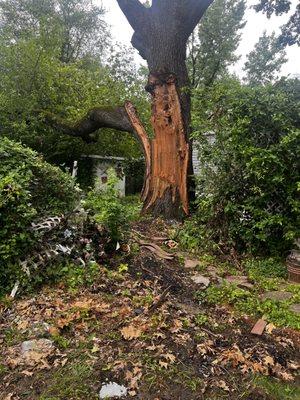 Trees are falling down all over the property, including on homes. Management/Owner won't do anything about it, gets worse every year!