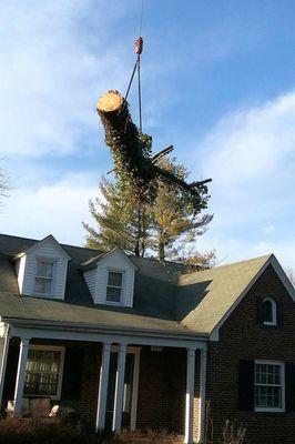 Curb Appeal Landscaping and Tree Service