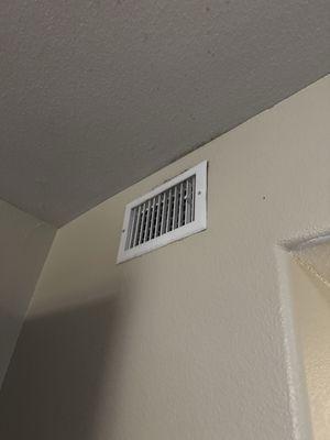 Black mold in kitchen.