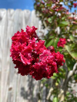 Unique Designs Nursery & Landscaping
