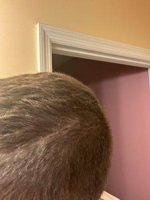 Yankee's Barber Shop