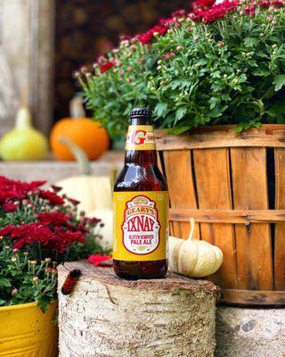 IXNAY, Gluten Removed Pale Ale