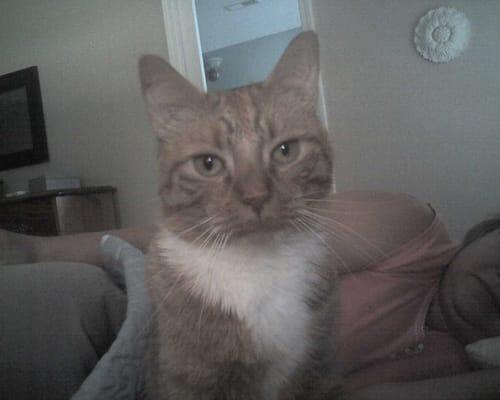 A Bankruptcy Lawyer Andy Miofsky