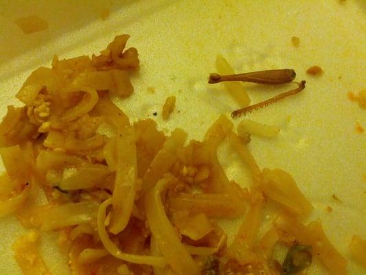 The grasshopper leg i found in my food. Stay away from this place.