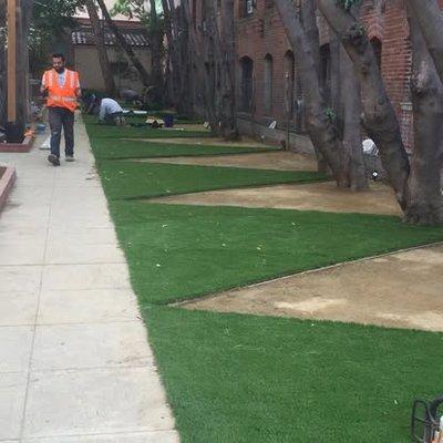 Climbers Tree Services