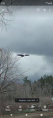 Ludington Taxi Rides