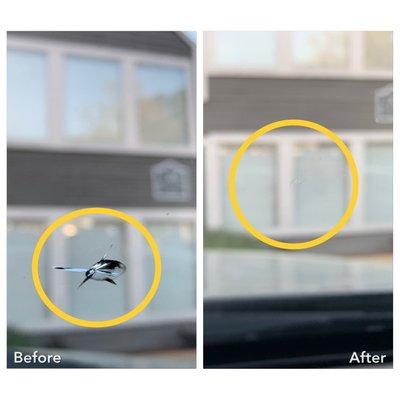 Wyndshyld Auto Glass Repair and Replacement