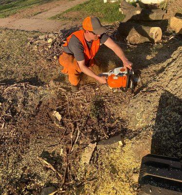 McClure's Tree Service