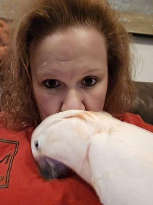 Birds of a Feather Parrot Rescue of NM