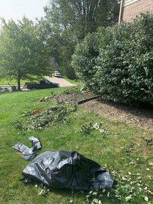 Ridgewood Professional Services