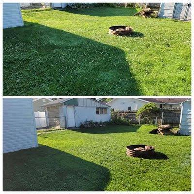 Complete Clean Outs & Removal Services