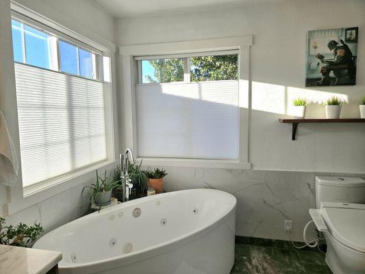 Elevated Windows PDX