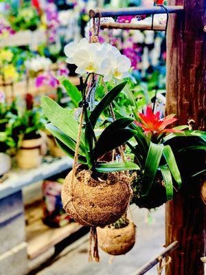 Home Services at the Home Depot