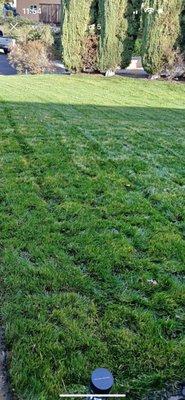 Gardener Grass Cutting Service