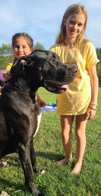 Rutherford Veterinary Hospital