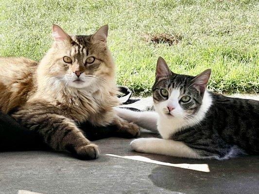 Entrance Road Veterinary Clinic