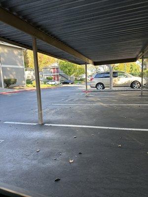 Peachwood Apartments