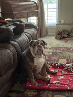 Riverside Animal Hospital