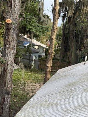 Bickmeyers Tree Service