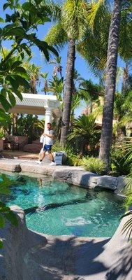 Deepools Pool Services