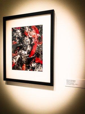 My Photography at the Tampa Museum of Art