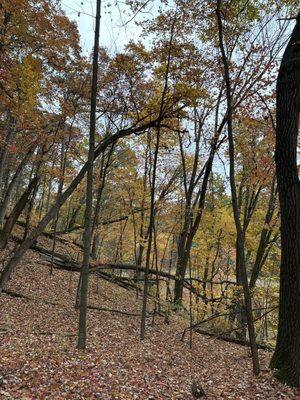 Rocky Arbor State Park