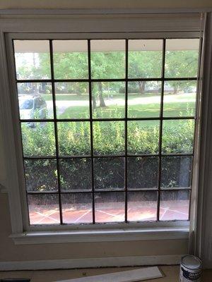 Ecoview of the Piedmont