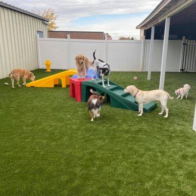 Dana's Dog Spa and Boarding