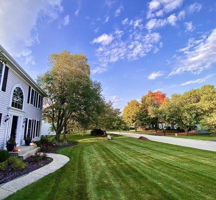 J's Lawn Care Services