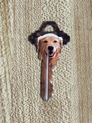 Golden retriever key