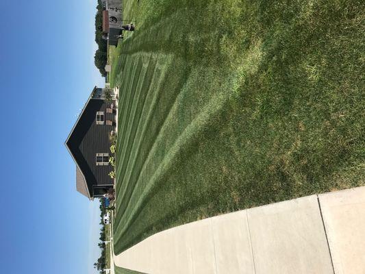 Pro-Cut Lawn Care and Fertilization