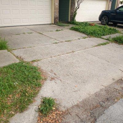 Residents Landscaping and Design