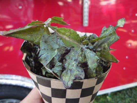 Mckenzie River Organic Farm