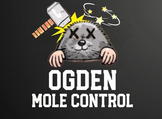 Ogden Mole Control