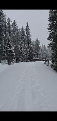 Christy Sports Ski & Patio