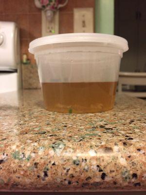 This is the order of onion soup. The container is not even halfway full. Not only that, there was ONE mushroom, and only 2 onions.